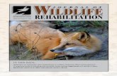 REHABILITATION - The IWRC3).pdf · Volume 36(3) 3 The Journal ofWildlife Rehabilitation is published by theInternational Wildlife Rehabilitation Council (IWRC), PO Box 3197, Eugene,