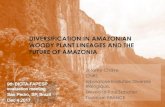 DIVERSIFICATION IN AMAZONIAN WOODY PLANT ......Centre d’Etude de la Biodiversité Amazonienne - © 2012 DIVERSIFICATION IN AMAZONIAN WOODY PLANT LINEAGES AND THE FUTURE OF AMAZONIA