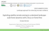 Exploiting satellite remote sensing to understand landscape-...scale forest dynamics with a focus on forest fires Donato Morresi Department of Agricultural, Forest and Food Sciences