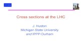 Cross sections at the LHC - Michigan State University · 2008. 11. 12. · Understanding cross sections at the LHC PDF’s, PDF luminosities and PDF uncertainties Sudakov form factors