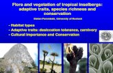 - Habitat types - Adaptive traits: desiccation tolerance ......- Cultural importance and Conservation Wilhelm Bornhardt Bornhardt 1900: Inselberg Insel: island Berg: mountain Inselbergs