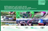 Efficiency of soil and - Food and Agriculture Organization · 2021. 2. 8. · Bill Herz, Li Shutian, Jin Ji-yun, Terry Roberts, John Ryan Malcolm Sumner, and Holm Tiessen. viii List