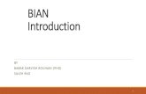 BIAN Introduction - Sharifncaea2019.sharif.edu/images/Slides/NCAEA2019_BIAN2.pdf · 2019. 12. 2. · Overview The BIAN Service Landscape provides a taxonomy of all business capabilities