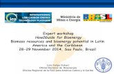 Expert workshop How2Guide for Bioenergy Biomass resources ... · 1.Overview of bioenergy, food security and linkages to food security 2. Guidelines for Action in Latin America and