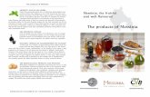 Messinia, the fruitful and well-flavoured The products of Messinia … · 2016. 3. 2. · OLIVE OIL In Messinia, wherever you go, you realise the love that the Messin- ians have for