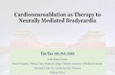 Cardioneuroablation as Therapy to Neurally Mediated Bradycardia · 2021. 4. 15. · Yan Yao MD, PhD, FHRS Arrhythmia Center Fuwai Hospital, Peking Union Medical College-Chinese Academy