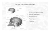 Drugs Targeting the CNS Lecture...BIMM118 Drugs Targeting the CNS Anxiety: Panic disorder (panic attacks) - rapid-onet attacks of extreme fear and feelings of heart palpitations, choking