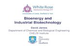 Bioenergy and Industrial Biotechnology...“Industrial Biotechnology (IB) is a set of cross-disciplinary technologies that use biological resources for producing and processing materials
