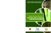 Bamboo Harvesting and Preservationlankaboo.lk/.../2016/11/1_bamboo_harvesting_and_prese.pdf2016/11/01  · BAMBOO TRAINING MANUAL 1 BAMBOO HARVESTING AND PRESERVATION one has carefully