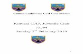 Kinvara GAA Juvenile Club AGMkinvarag/wp-content/uploads/2019/02/...3 Minutes of Kinvara GAA Juvenile Club A.G.M. 2017 Kinvara Juvenile AGM was held on December 5th 2017 in the club