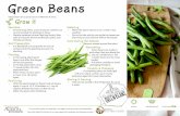 How to Grow Grean Beans in a Garden...apply 1/2 cup of 15-5-10 fertilizer or 1 cup of organic fertilizer for every 10 feet of row. • Water the plants after fertilizing. Watering