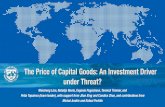 The Price of Capital Goods: An Investment Driver under Threat? · 2019. 7. 1. · Literature. Real investment and relative price of capital goods. DeLong and Summers (1991, 1993),
