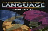 THIRD EDITION DAVID CRYSTAL - dandelon.com · DAVID CRYSTAL. The Cambridge Encyclopedia of Language is organized in 11 parts, comprising 65 thematic ... 16 Grammar 92 Syntax and morphology;