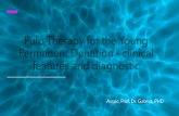 Pulp Therapy for the Young Permanent Dentition...2020/10/06  · Pulp Therapy for the Young Permanent Dentition –clinical features and diagnostic Assoc. Prof. Dr. Gateva, PHD Pulpitis: