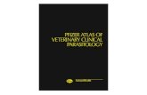 PFIZER ATLAS OF VETERINARY CLINICAL PARASITOLOGY...VETERINARY CLINICAL PARASITOLOGY ISBN 0-9678005-3-6 Pfz Parasite Atlas FNL.qxd 5/28/04 11:34 AM Page 2 1 CONTENTS Published by The