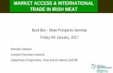 MARKET ACCESS & INTERNATIONAL TRADE IN IRISH MEAT