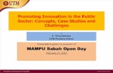 Promoting Innovation in the Public Sector: Case Study on ...