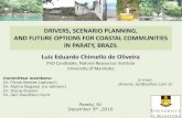 DRIVERS, SCENARIO PLANNING, AND FUTURE OPTIONS FOR …