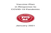 Vaccine Plan in Response to COVID-19 Pandemic