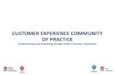 CUSTOMER EXPERIENCE COMMUNITY OF PRACTICE