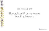 Biological Frameworks for Engineers