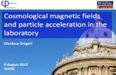 Cosmological magnetic fields and particle acceleration in ...