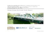 Bridge Design Hydraulic Study Report
