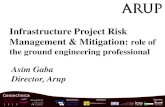 Infrastructure Project Risk Management & Mitigation: role ...