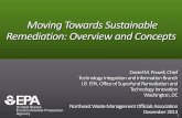 Moving Towards Sustainable Remediation: Overview and Concepts