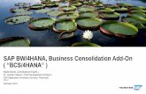 SAP BW/4HANA, Business Consolidation Add-On ( “BCS/4HANA“ )
