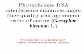 Phytochrome RNA interference enhances major fiber quality ...