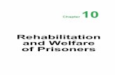 Rehabilitation and Welfare of Prisoners