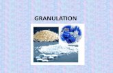Granulation - Philadelphia University