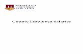 County Employee Salaries