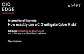 How exactly can a CIO mitigate Cyber Risk