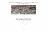 Scott River Adult Coho Spawning Ground Surveys 2012-2013 ...