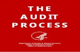 The Audit Process Manual - elsmar.com