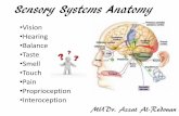Sensory Systems Anatomy - anatomie.lf2.cuni.cz