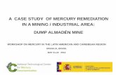 A CASE STUDY OF MERCURY REMEDIATION IN A MINING ...