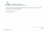 The Federal Budget: Overview and Issues for FY2018 and Beyond
