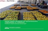 Value chain analysis of (greenhouse) vegetables in Lebanon