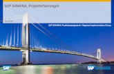 SAP S/4HANA, Projekterfahrungen