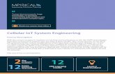 Cellular IoT System Engineering - Mpirical