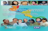 The Central America Diabetes Initiative (CAMDI)