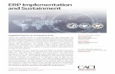 ERP Implementation and Sustainment