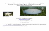 Five-Hundred Meter Aperture Spherical Radio Telescope ...