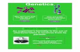 Genetics Patterns of Inheritance Notes - Weebly