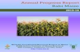Annual Progress Report Rabi Maize