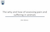 The why and how of assessing pain and suffering in animals