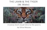 THE LAMB & THE TYGER (W. Blake) - silviamazzau.com